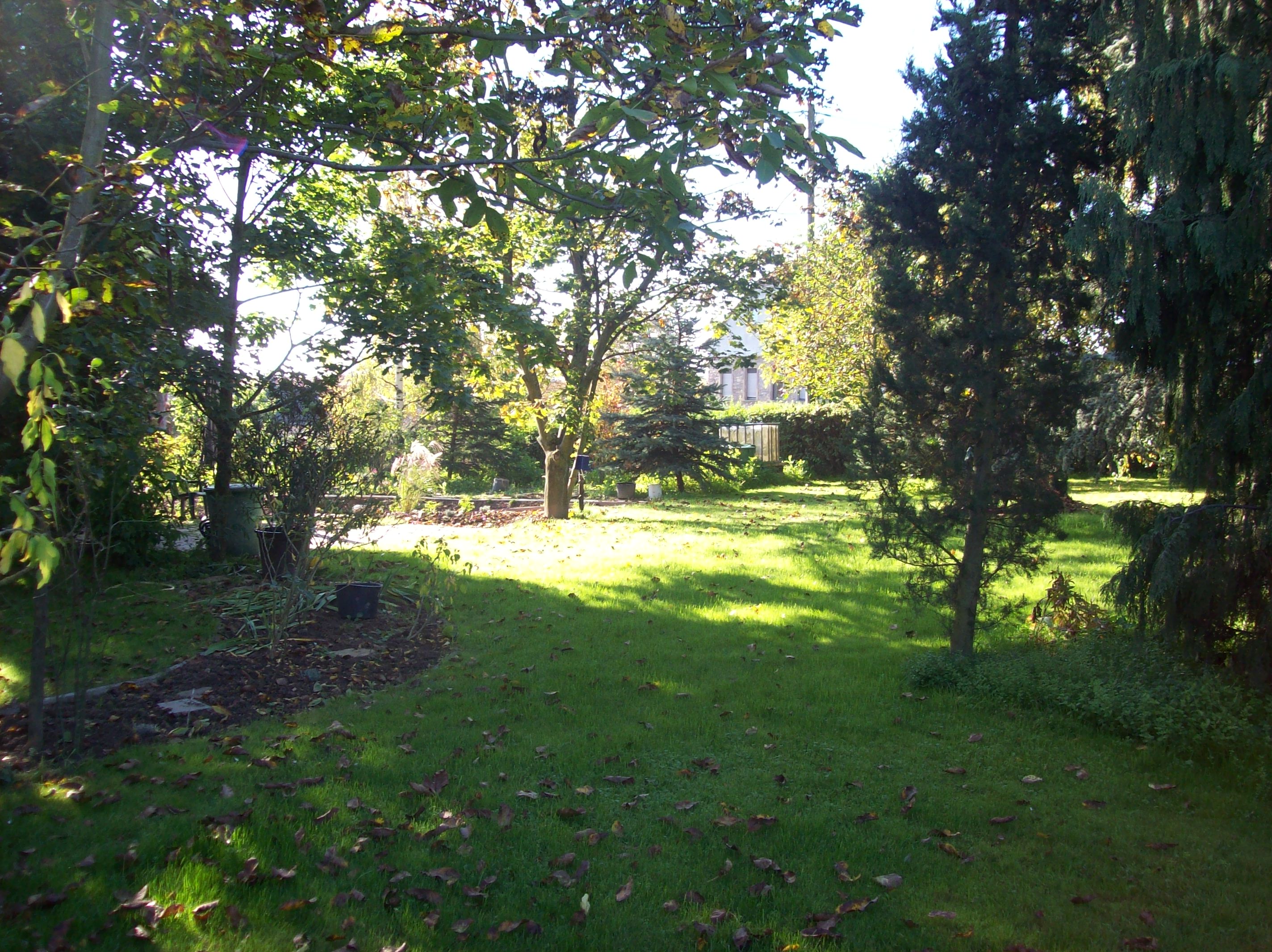 Garten-1